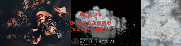 хмурый Арсеньев