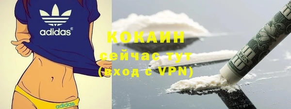 хмурый Арсеньев
