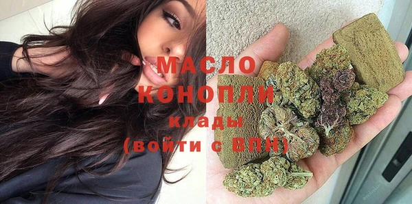 хмурый Арсеньев