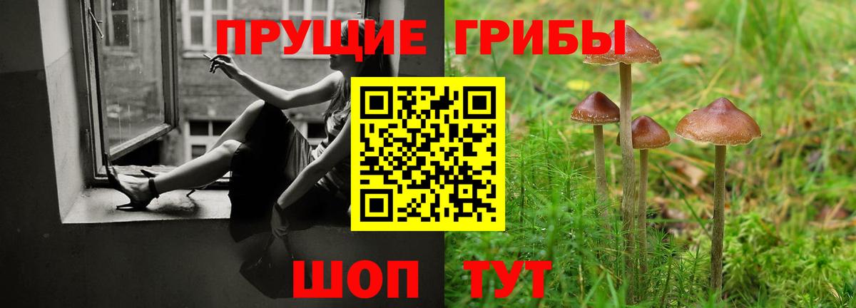 Астрахань  Галлюциногенные грибы Cubensis  Вход с VPN 